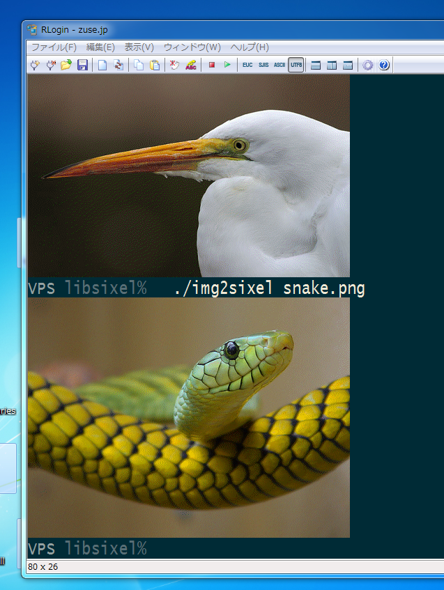 A picture of a bird and a snake that look like they came out of an image viewer and not the terminal.